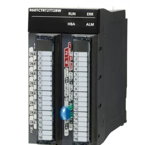 Модуль сопряжения с термодатчиком R60TCTRT2TT2BW